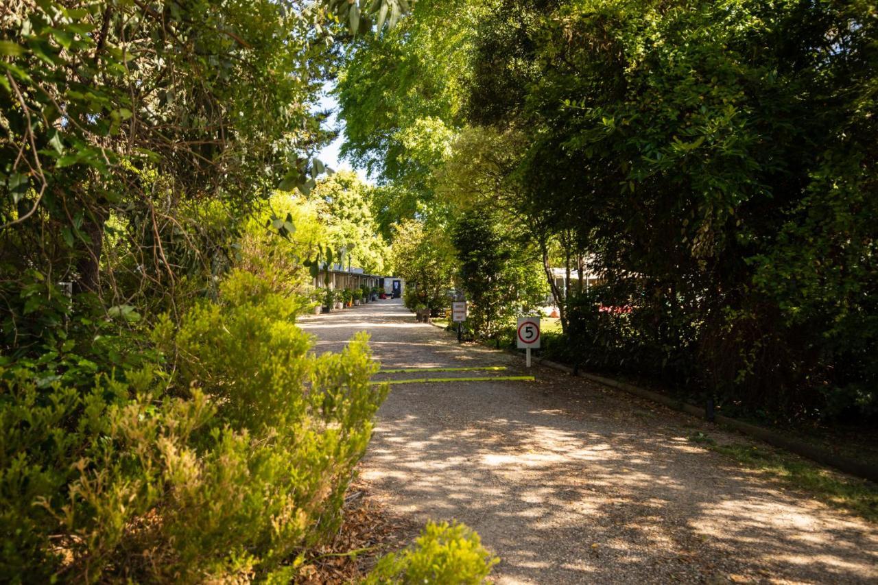 Adina Lodge Holiday Apartments Bright Bagian luar foto