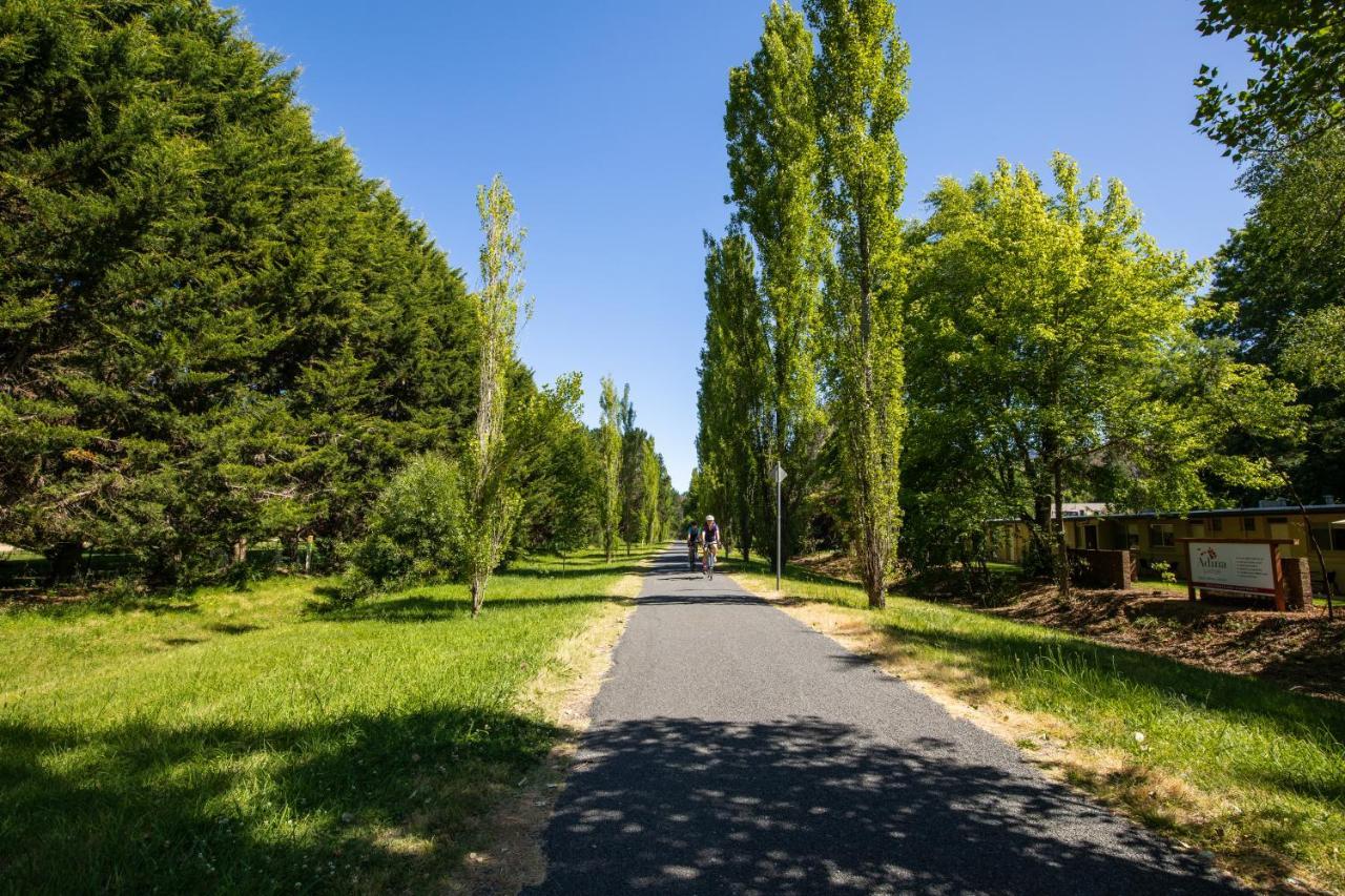 Adina Lodge Holiday Apartments Bright Bagian luar foto
